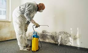 Biohazard Mold Removal in Somers Point, NJ