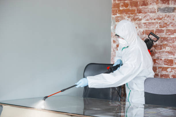 Why You Should Choose Our Mold Remediation Services in Somers Point, NJ