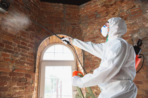 Somers Point, NJ Mold Removal Services Company